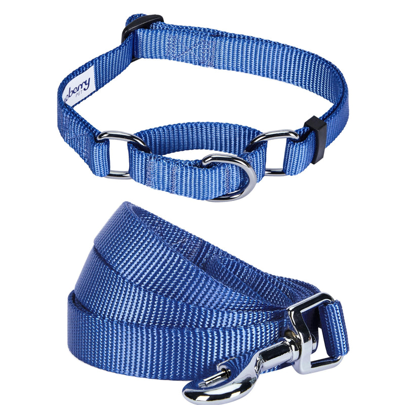 Blueberry Pet Essentials Matching Martingale Dog Collar and Leash Set in Marina Blue, Heavy Duty Nylon Adjustable Collars with 4 ft Leash for Large Dogs Marina Blue - Martingale Collar + Leash - PawsPlanet Australia