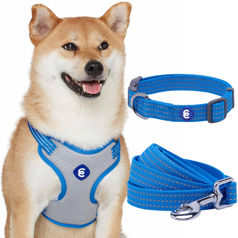 Blueberry Pet Essentials Reflective Dog Harness, Leash & Collar Set for Medium Dogs, French Blue, Adjustable Dog Harness & 5 ft Dog Leash, Puppy Essentials, Dog Collars for Small Dogs French Blue - Collar + Leash + Harness - PawsPlanet Australia