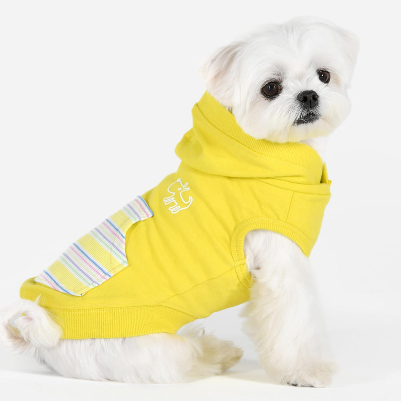 Puppia Spring/Summer PHIDEAUX Dog Hooded Shirt Trendy Fashionable Cute Dog Apparel, Yellow, Small YELLOW_PHIDEAUX - PawsPlanet Australia