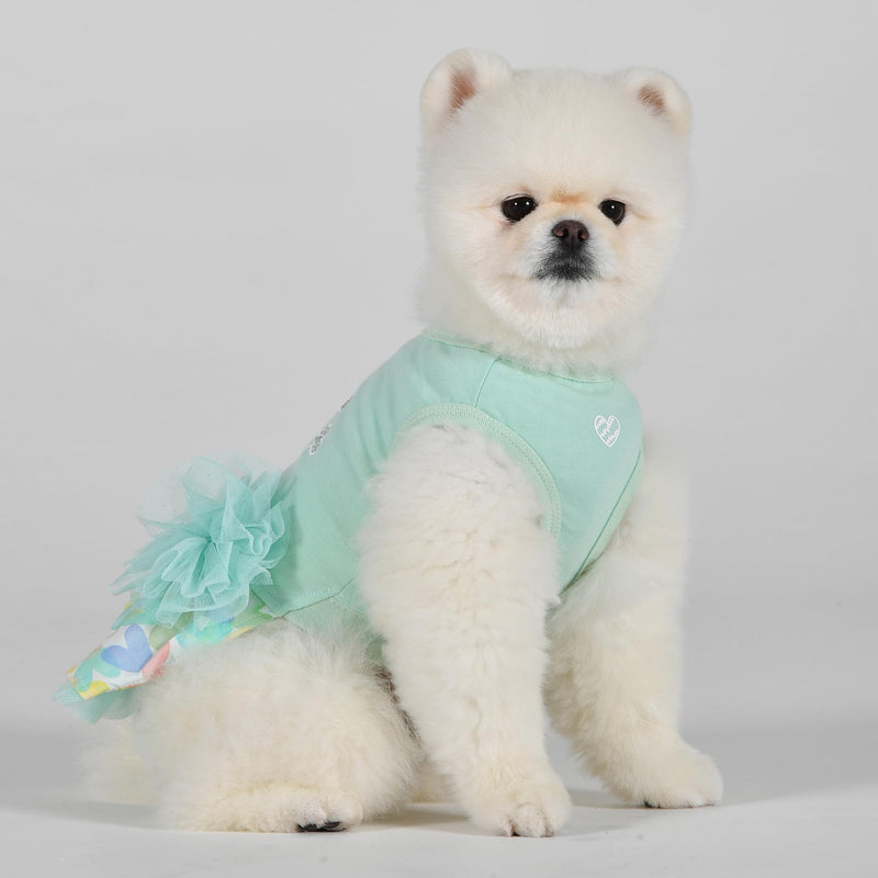 Pinkaholic New York Spring/Summer Diana Dog Dress Trendy Fashionable Cute Dog Apparel, Mint, Small MINT_DIANA