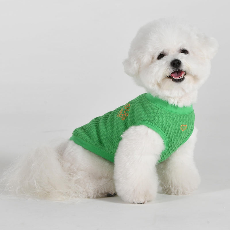 Pinkaholic New York Spring/Summer Grace Dog Shirt Trendy Fashionable Cute Dog Apparel, Green, Small GREEN_GRACE - PawsPlanet Australia