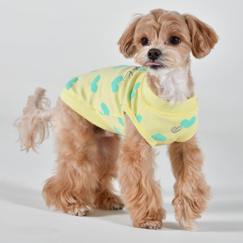Pinkaholic New York Spring/Summer Sonata of Love Dog Shirt Trendy Fashionable Cute Dog Apparel, Yellow, Small YELLOW_SONATA OF LOVE - PawsPlanet Australia