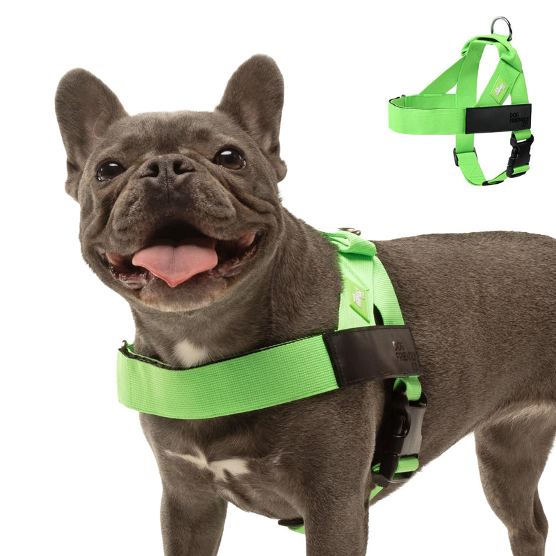 DF Co. Dog Harness | Chafe Resistant Webbing, Adjustable Neck & Chest, and Heavy Duty D-Ring | Sturdy, Comfortable, Easy to Use | Neon Green, Size XXS XX-Small - PawsPlanet Australia