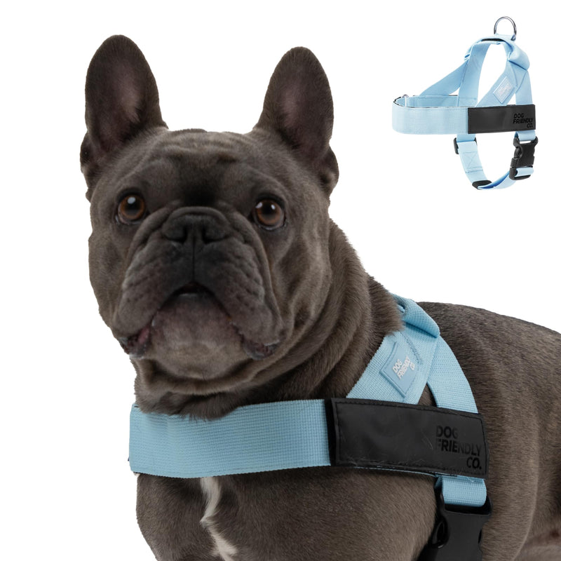DF Co. Dog Harness | Chafe Resistant Webbing, Adjustable Neck & Chest, and Heavy Duty D-Ring | Sturdy, Comfortable, Easy to Use | Sky Blue, Size S Small - PawsPlanet Australia