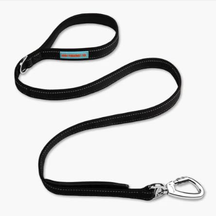 DF Co. Classic Dog Leash | Strain-Free, Shock Resistant, Prevents Jolts, Maintain Control | Durable Waterproof Material with Heavy Duty Clip & D-Ring | Black, Size Regular - PawsPlanet Australia