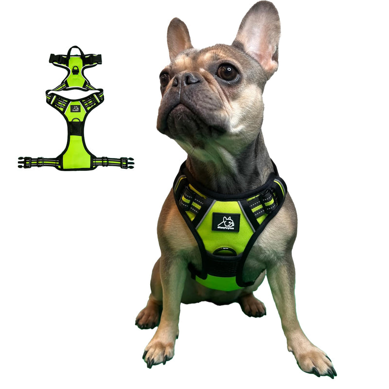 Funny Fur Grace - Neon Green Adjustable Heavy Duty Escape-Proof Harness, No Pull Design - Ideal for Medium Dogs - M Size #funnyfurgrace - PawsPlanet Australia