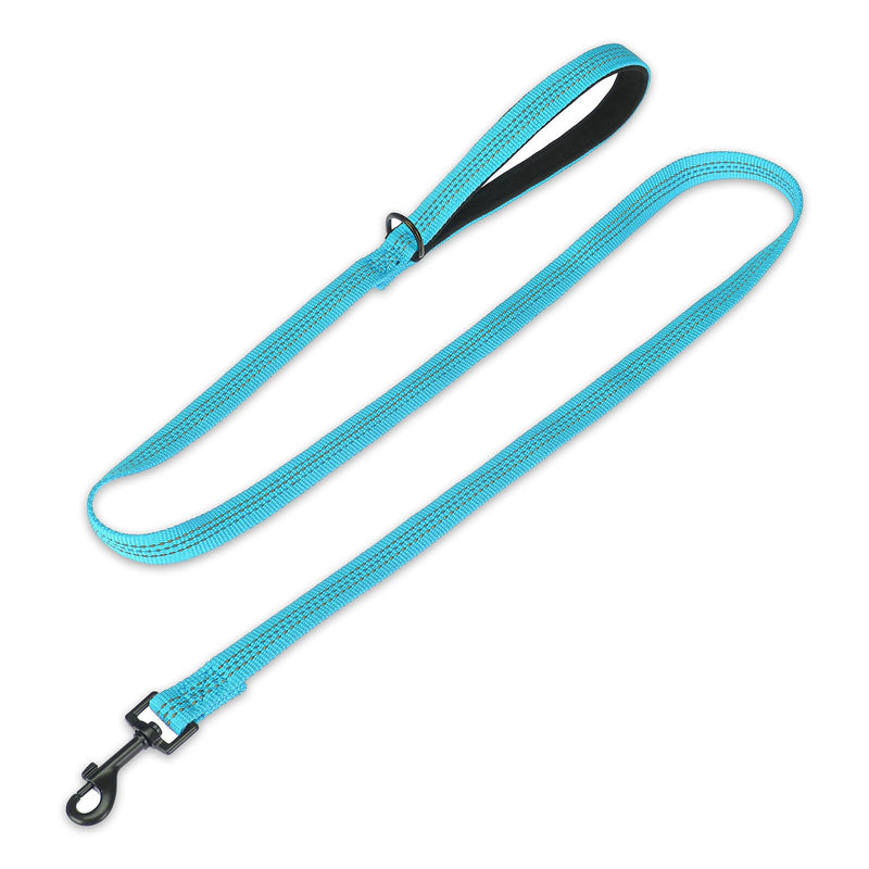 PUPTECK Reflective Dog Leash with Comfortable Padded Handle Durable Nylon Dog Lead for Small Medium and Large Dogs Cats Walking Running Training Outside, Teal, M 4.9 FT - PawsPlanet Australia