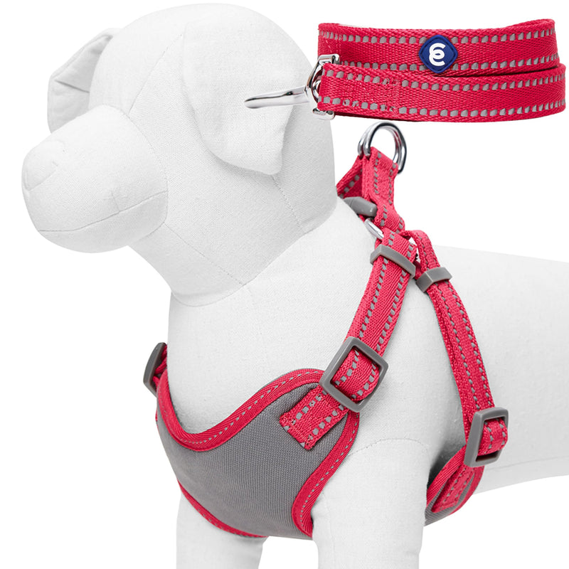 Blueberry Pet Matching Reflective Harness and Leash Set | Adjustable Pastel Vest with Lead for Dogs – Great Value Gift Set | Adjustable Very Berry Vest for Small Breeds - PawsPlanet Australia
