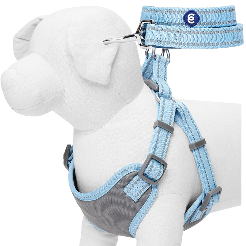Blueberry Pet Matching Reflective Harness and Leash Set | Adjustable Pastel Vest with Lead for Dogs – Great Value Gift Set | Adjustable Baby Blue Vest for Large Breeds - PawsPlanet Australia
