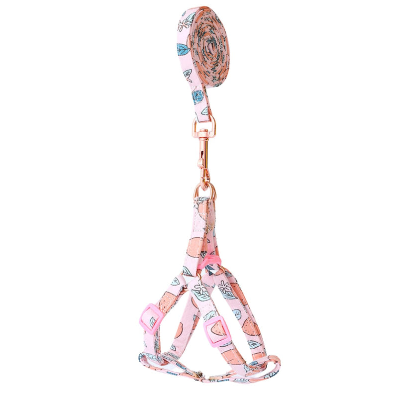 Pet Harness with Leash, Fruit Style Dog Harness Pull On Adjustable Lightweight Cat Harness Leash Set for Cat Puppy Small Dogs Peach S S-Chest 10-15'' - PawsPlanet Australia