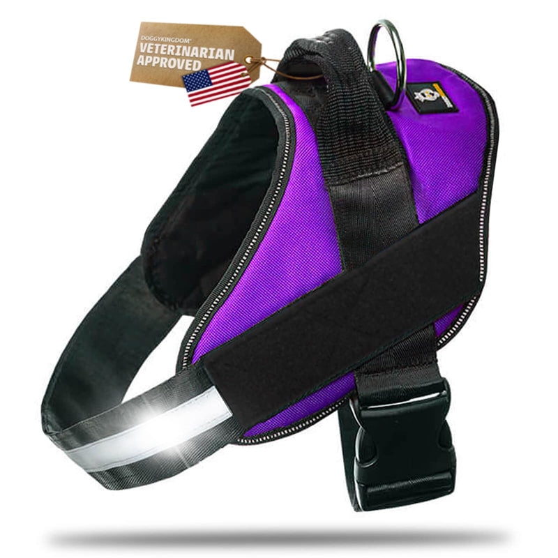Dog Harness with Patch Panels, No Choke, Reflective, Adjustable, Soft Padded Dog Vest Harness with Easy Control Handle for Large Dogs, Purple, L L (Chest: 26 - 31 in) - PawsPlanet Australia