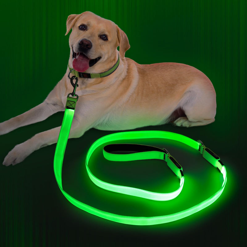 Light Up Dog Leash, 6 Ft LED Leashes Rechargeable, Nylon Reflective Lead with Padded Handle for Night Walking, Safety Glow Lights for Large Medium Small Dogs(Green, 6 Ft) Green - PawsPlanet Australia