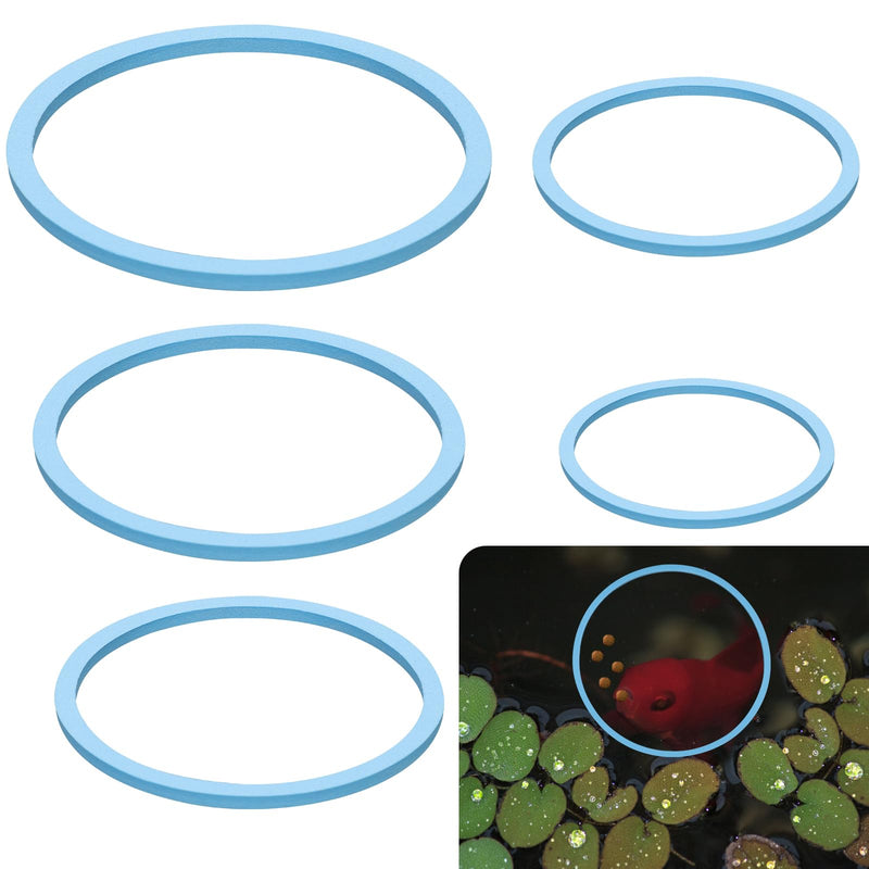 5pcs Aquarium Floating Plant Rings, Foam Round Fish Feeding Rings 5 Size Floating Plant Corral Fish Tank Food Ring Keep Floating Plants in Place (Blue) - PawsPlanet Australia