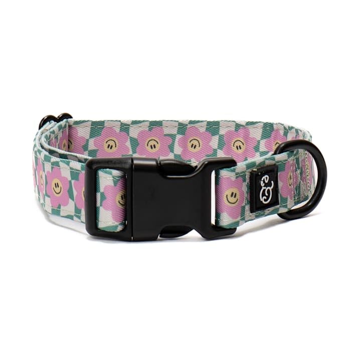 Lucy & Co. Making Rainbows, Cute Reversible Dog Harness Walking Halter - Best Designer Pet Harnesses for XS - XL Dogs - Padded Adjustable Vest for Easy Walking (Large) Large Just Chill