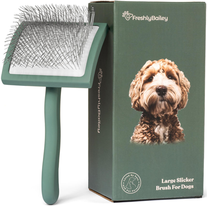 Freshly Bailey Doodle Brush for Goldendoodle, Poodle, and Labradoodle Coats - Best Slicker for Dogs With Wavy & Curly Hair - Detangle & Fluff Like a Pro - Grooming Must Haves (Large) Large
