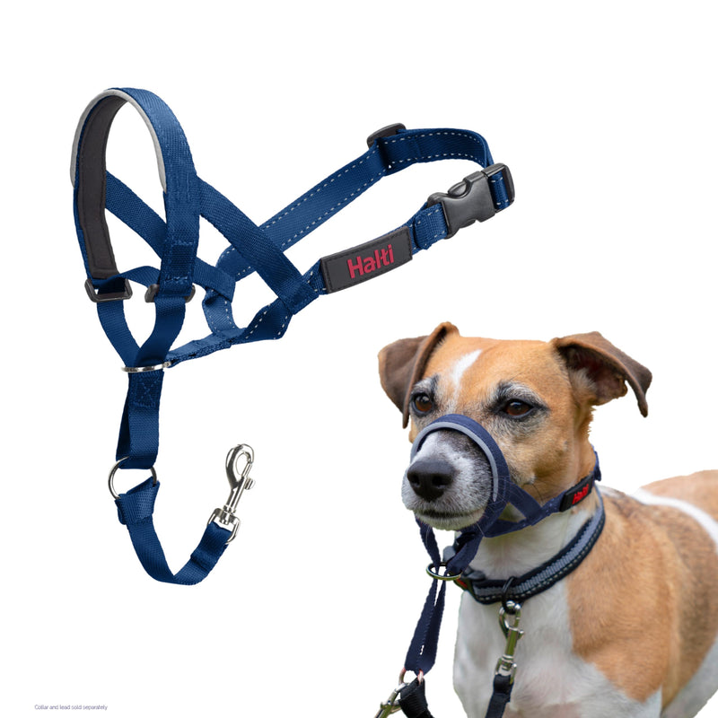 HALTI Headcollar - to Stop Your Dog Pulling on The Leash. Adjustable, Reflective and Lightweight, with Padded Nose Band. Dog Training Anti-Pull Collar for Small Dogs (Size 1, Cobalt Blue) - PawsPlanet Australia