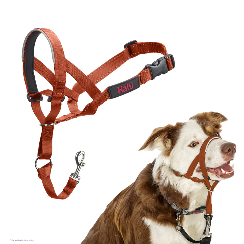 HALTI Headcollar - to Stop Your Dog Pulling on The Leash. Adjustable, Reflective and Lightweight, with Padded Nose Band. Dog Training Anti-Pull Collar for Medium Dogs (Size 2, Burnt Orange) - PawsPlanet Australia