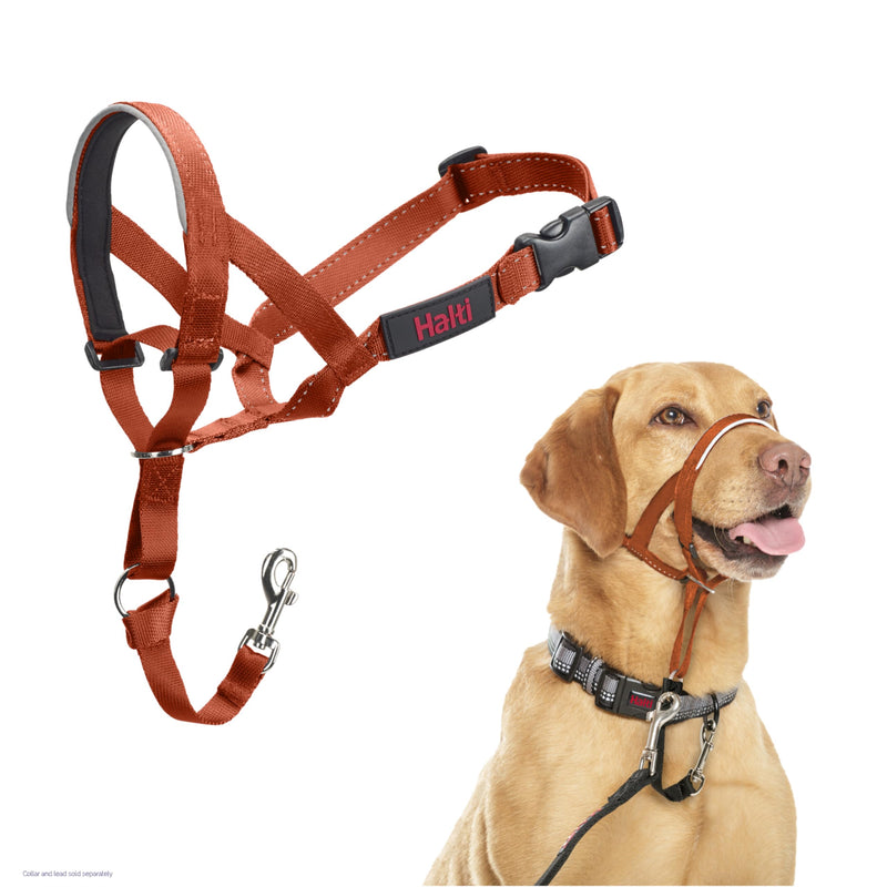HALTI Headcollar - to Stop Your Dog Pulling on The Leash. Adjustable, Reflective and Lightweight, with Padded Nose Band. Dog Training Anti-Pull Collar for Medium Dogs (Size 3, Burnt Orange) - PawsPlanet Australia