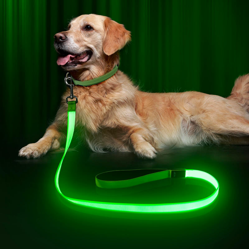 LED Dog Leash Light Up 4 Feet Micro USB Rechargeable Nylon Webbing Glow Safety Standard by Bpawser (Green) Green - PawsPlanet Australia