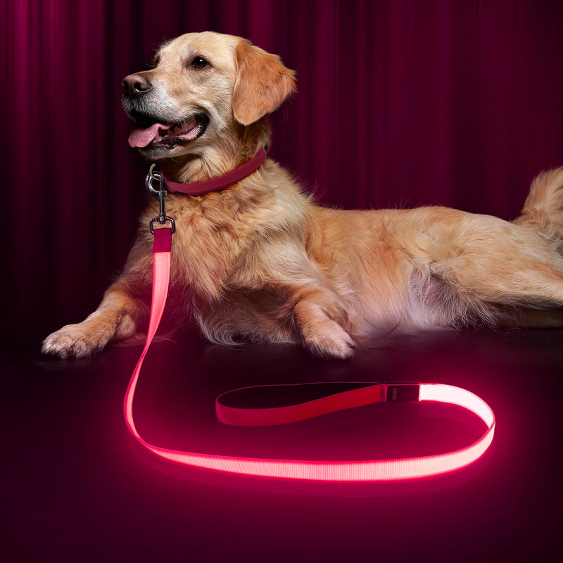 LED Dog Leash with Light - 4 Feet, Rechargeable, Nylon Webbing, Glow Safety Standard Dog Leash (Pink) Pink - PawsPlanet Australia