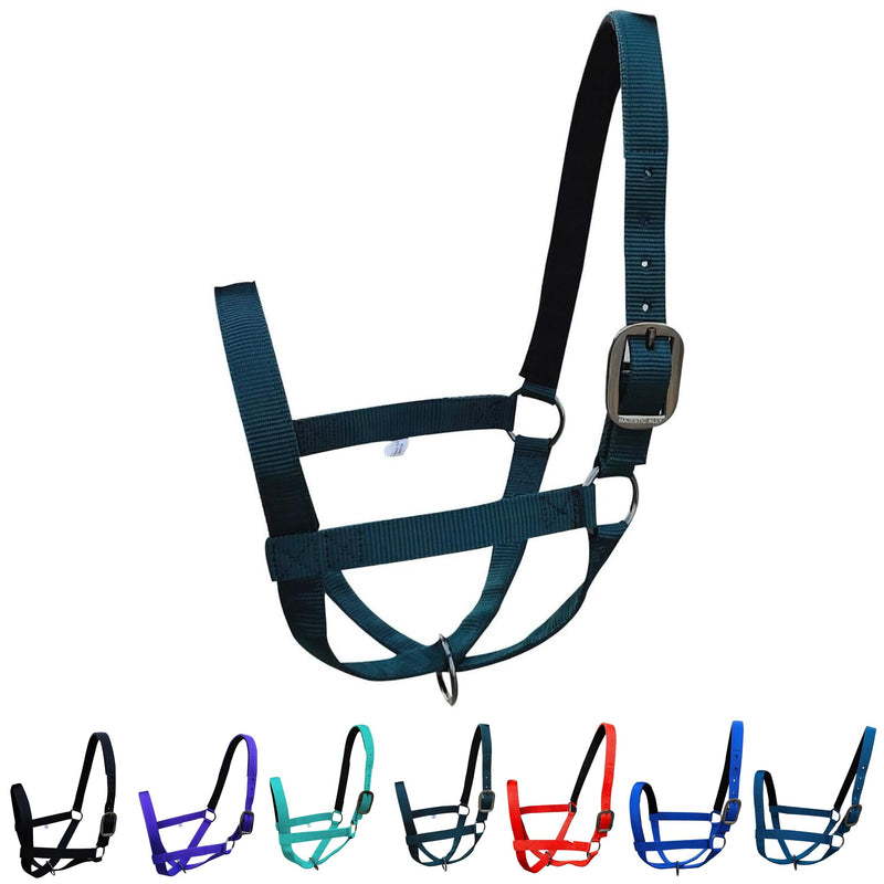 Majestic Ally Adjustable Nylon Cattle Halter with Padded Crown and Nose - 6-Month Warranty Large Hunter Green - PawsPlanet Australia