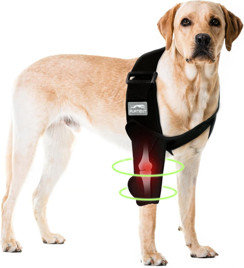 Hilltown Dog Elbow Brace for Shoulder & Front Leg, Canine Elbow Wrap for Shoulder Dislocation, Pressure Sores, Elbow Injury and Loss of Stability from Arthritis-R Right Leg L - PawsPlanet Australia