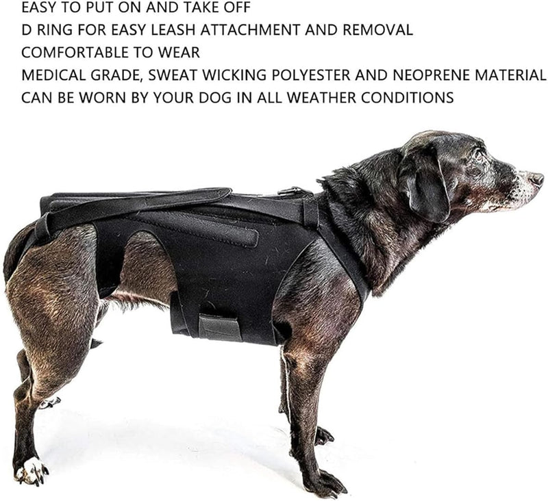 Dog Back Brace for Slipped Disc and Dog Arthritis Support, IVDD Dog Supplies, Dachshund Back Support, Back Brace for Dogs with Back Disease and IVDD [Includes 5 Dog Teeth Cleaning Wipes] (L) L - PawsPlanet Australia