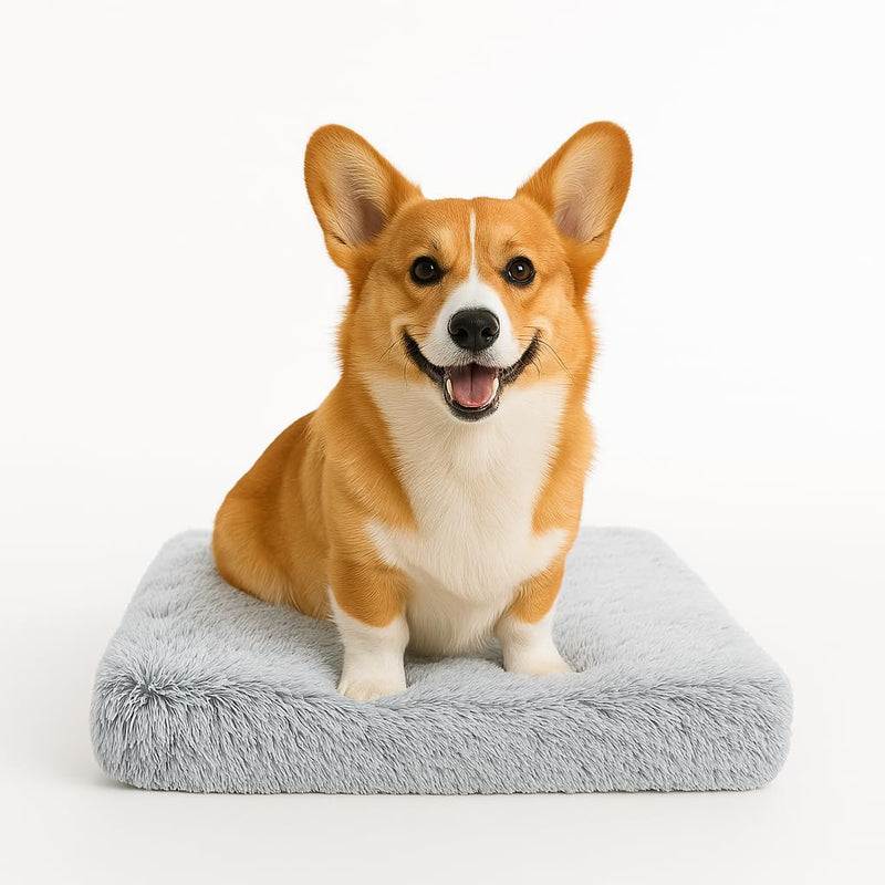 Dog Bed with Removable Cover, Orthopedic Dog Bed (Medium) - Premium Quality, Washable & Portable,Multiple Sizes, Stylish Design, Removable Cover, Size(19.68 x 15.74 X 2) inch Medium - PawsPlanet Australia