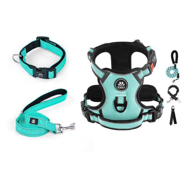 IVY&LANE Dog Harness Set Bundle Dog Collar and Leash Set | Medium | Turquoise+Teal - PawsPlanet Australia