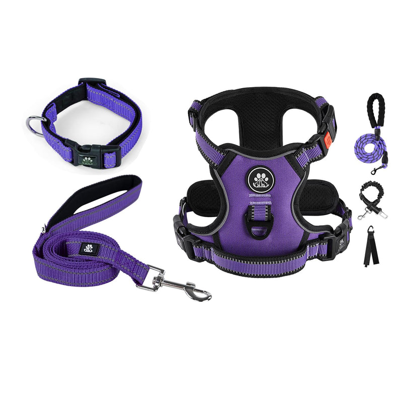 IVY&LANE Dog Harness Set Bundle Dog Collar and Leash Set | Small | Purple - PawsPlanet Australia