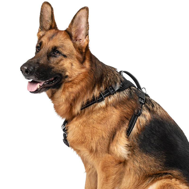 Premier Pet™ No Pull Comfort Harness - Large - PawsPlanet Australia