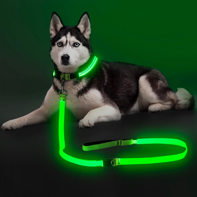 Colaseeme Light Up Dog Leash, LED Pet Leashes USB Rechargeable, Glow Safety Dogs Lights at Night (6FT,Green) Green 6FT