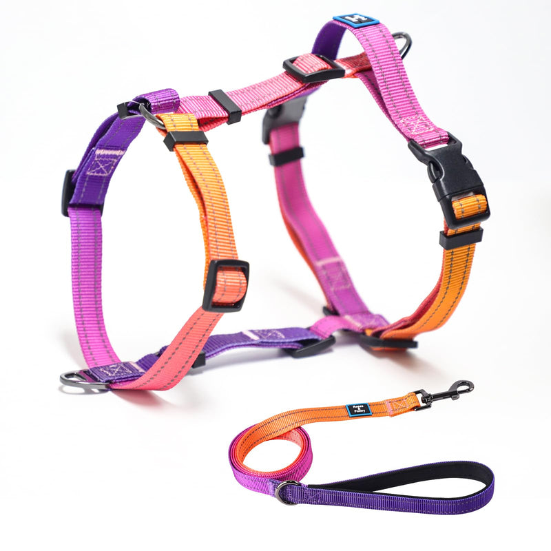 Roses&Poetry Dog Harness for Large Dogs, No-Pull Dog Harness and Leash Set Adjustable Reflective, Dog Vest Harnesses Comfort Padded Handle, Pet Harness for Training Outdoor Walking（Mistyrose-L L Mistyrose - PawsPlanet Australia