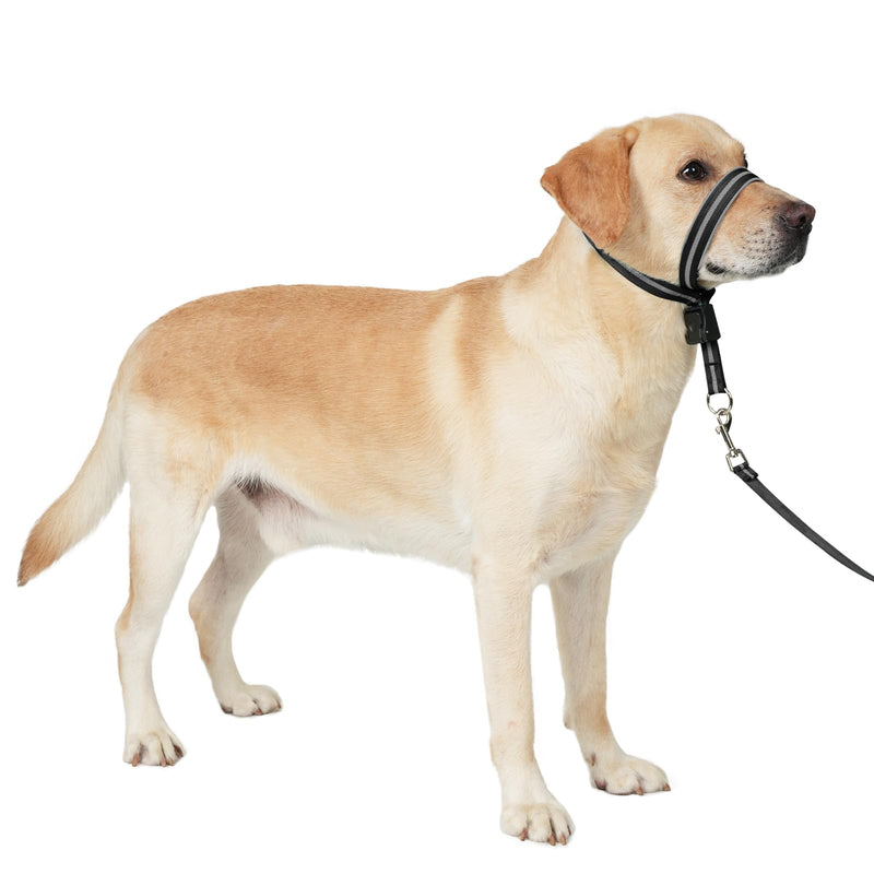 BARKLESS Dog Head Collar, Reflective Head Halter for Small Medium Large Dogs with Soft Padding, No Pull Mouth Harness with Training Leash, Adjustable Muzzle Leash for Gentle Walking M (Snout 9-11 '') Black - PawsPlanet Australia