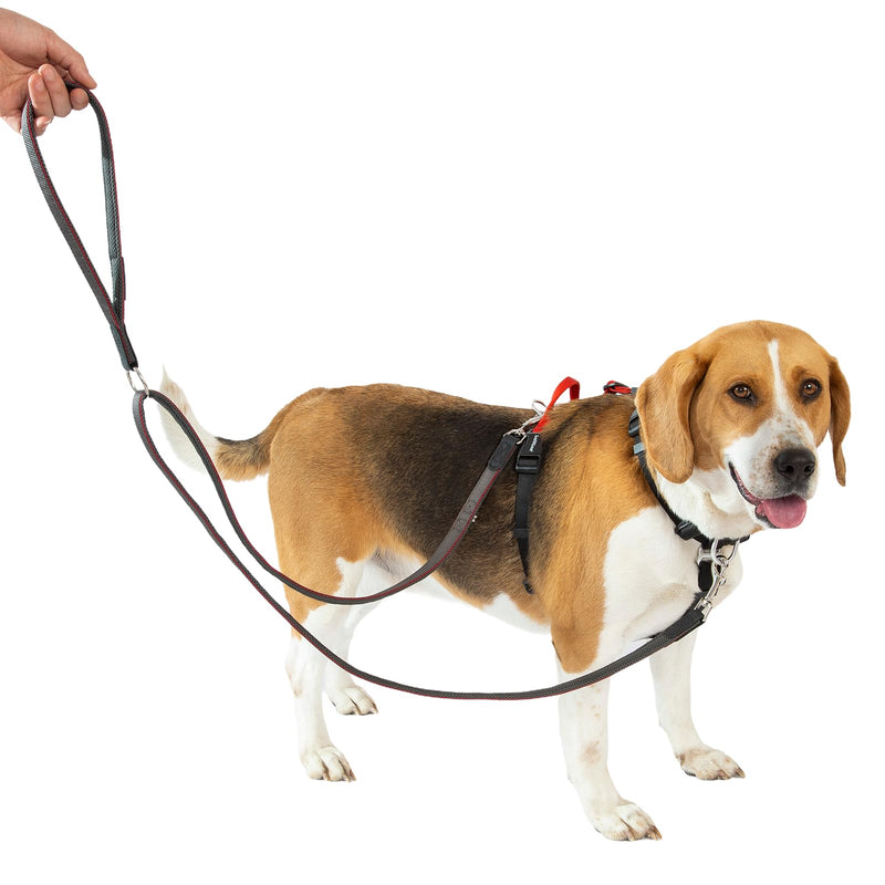 No Pull Dog Harness with Two Points Control Leash Set, Neck Buckle, Aluminum D-Rings, 6 Points Adjustment, Easy Walking and Training, Leash with 2 Clips (Harness-Leash Set, L) - PawsPlanet Australia