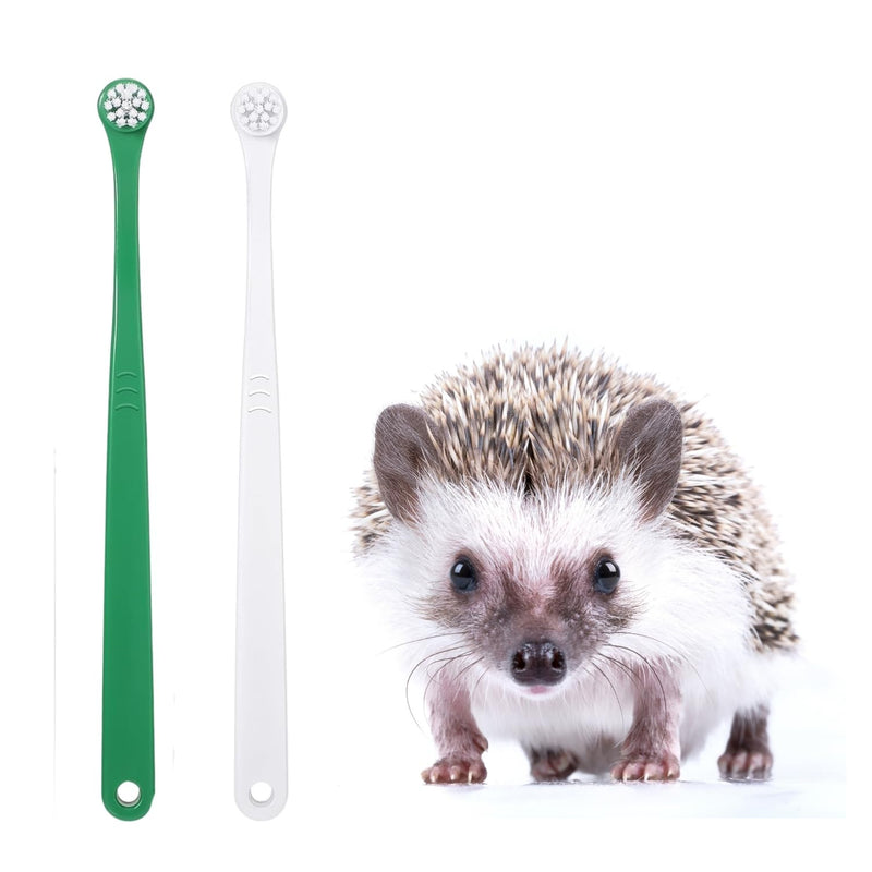 2 Pcs Pet Toothbrush for Hedgehog Small Animal Toothbrush Mini Head Soft Bristles Gentle Pet Toothbrush for Small Pets Dental Care Hedgehog Supplies Hedgehog Grooming Accessories (2 Pack) 2 Pack - PawsPlanet Australia