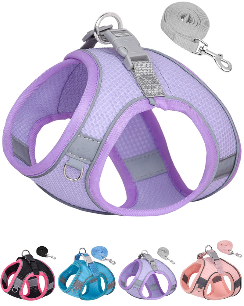 Dog Harness for Small Medium Sized Dog, Step in Puppy Harness and Leash Set Training Walking. (Purple, XS) Purple - PawsPlanet Australia