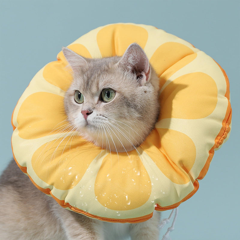 Cat Recovery Soft Collar.Waterproof Soft Recovery Cone Collar. Anti-bite and Anti-Lick Wound Healing Safe Adjustable Elizabethan Collar.(M) Medium Yellow - PawsPlanet Australia