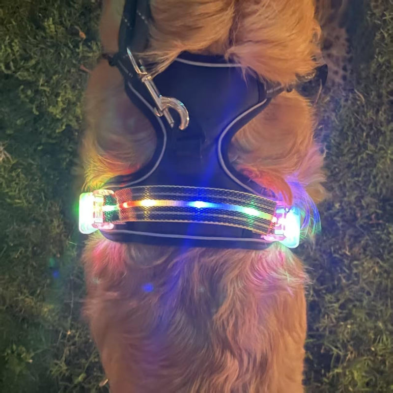 Light Up Dog Harness - No Pull LED Dog Harness Rechargeable Waterproof,for Night Walking Adjustable Glow Up Dog Vest,for Large Dogs(Black-XL) XL Black - PawsPlanet Australia