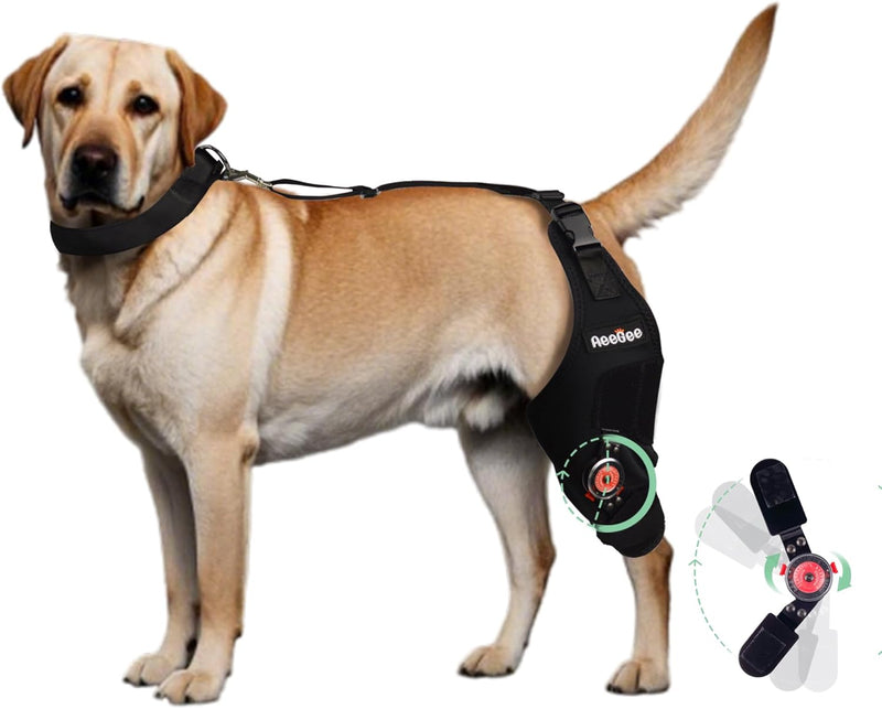 Adjustable Dog Knee Brace with Extra Collar, Support for Torn Acl Hind Leg, Tear Ligament, Osteoarthritis,Rear Leg Limp, Recovery After Surgery,et（Left Leg,XL） Left Leg Extra Large - PawsPlanet Australia