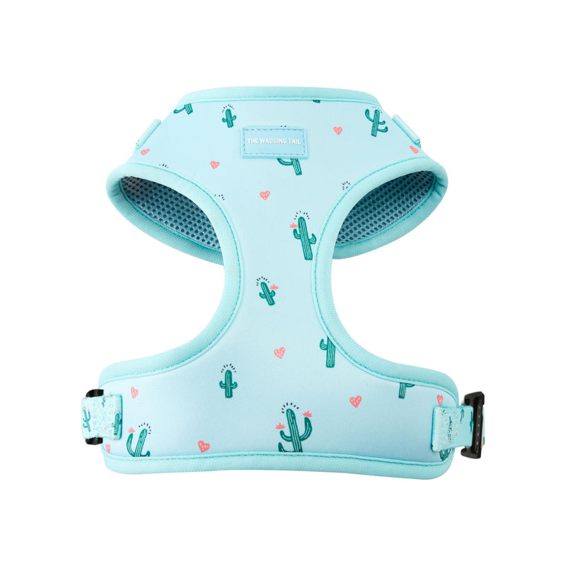 Wagging Tail Premium No Pull Dog Harness - Adjustable, Soft, Cute Dog Vest for Medium, Large & Small Dogs (Cactus, Medium) Cactus - PawsPlanet Australia