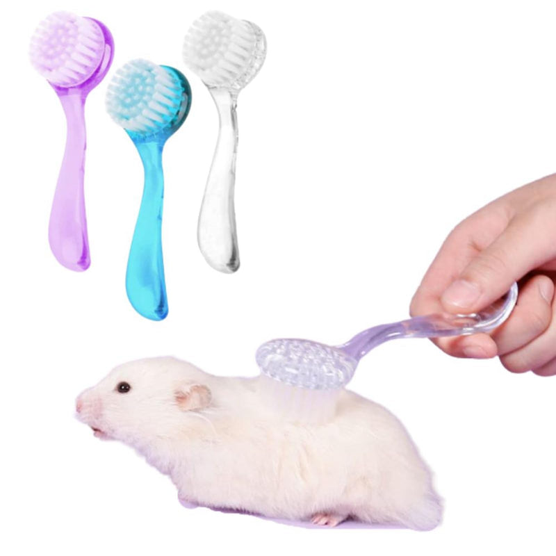 3PC Small Animal Bath Brush with Lid Soft Cleansing Brush Massage Combs for Hedgehog Guinea Pig Rabbit Chinchilla Ferret Small Animal Grooming Tool Cleaning Supplies - PawsPlanet Australia