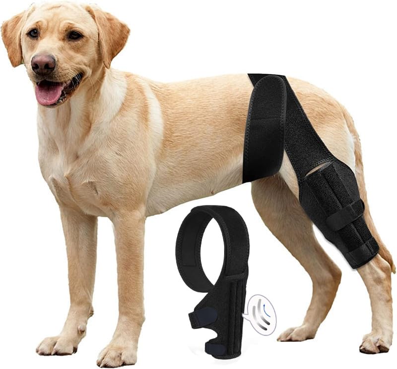 Dog Knee Brace for Support with Cruciate Ligament Injury, Joint Pain and Muscle Sore Size: XXXXL - PawsPlanet Australia