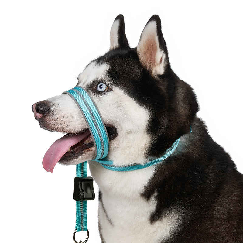 BARKLESS Adjustable Soft Head Collar with Padding, Reflective No-Pull Halter for Dogs, Training Nose Leash Included, Ensures Easy Control on Walks (Turquoise, S) - PawsPlanet Australia