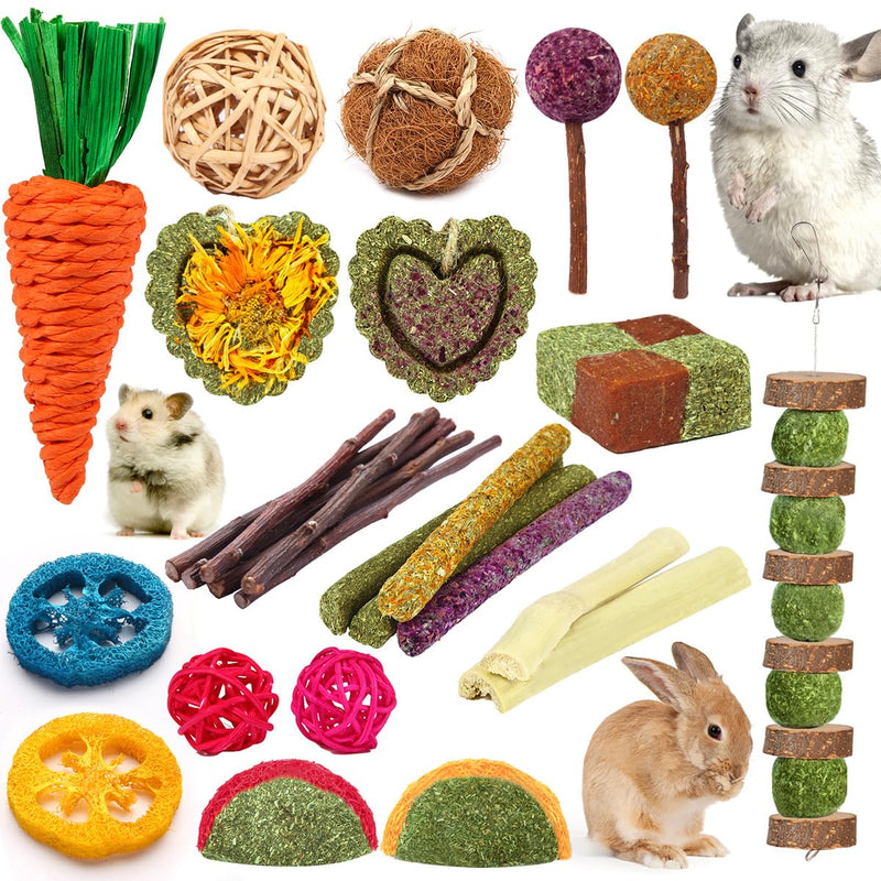 Rabbit Toys Bunny Chew Toys for Teeth, Hamster/Guinea Pig Toys Natural Timothy Hay Sticks Treats Balls and Apple Wood Sticks for Chinchilla, Guinea Pig, Hamster Pet Chew and Play Bundle - PawsPlanet Australia