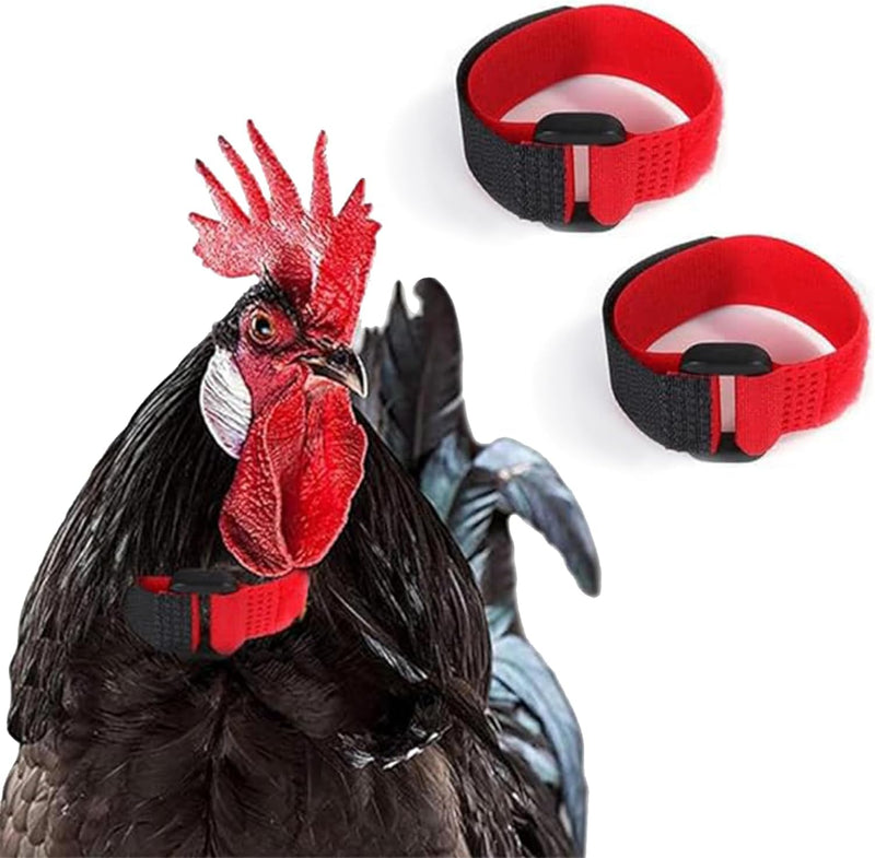 2Pcs Black and Red Crow Rooster Collar, Crow Collar, Rooster Collar, Neck Belt for Roosters Cockerel Velcro Nylon Prevent Chickens from Screaming Basic Collars - PawsPlanet Australia