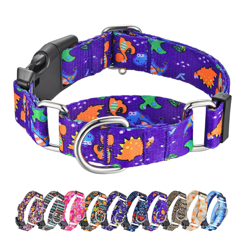 Hikiko Martingale Collar for Dogs Cute Dinosaur Dog Collar for Small Medium Large Dogs Comfortable Nylon Funny Dog Collars (Dinosaur,Large) - PawsPlanet Australia
