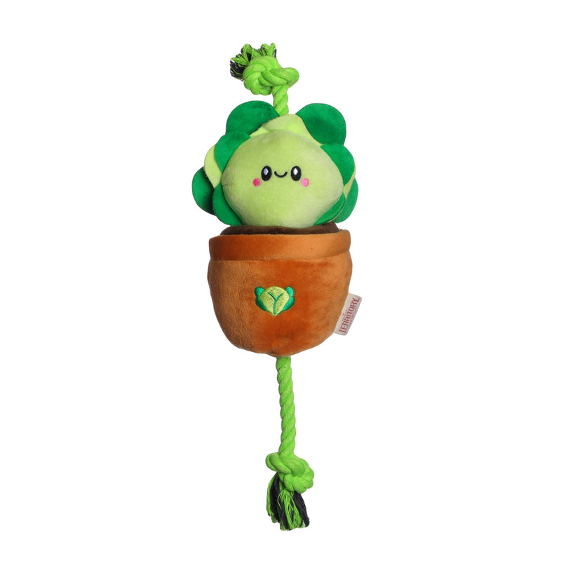 Territory Lettuce Treat-and-Tug Dog Toy - PawsPlanet Australia