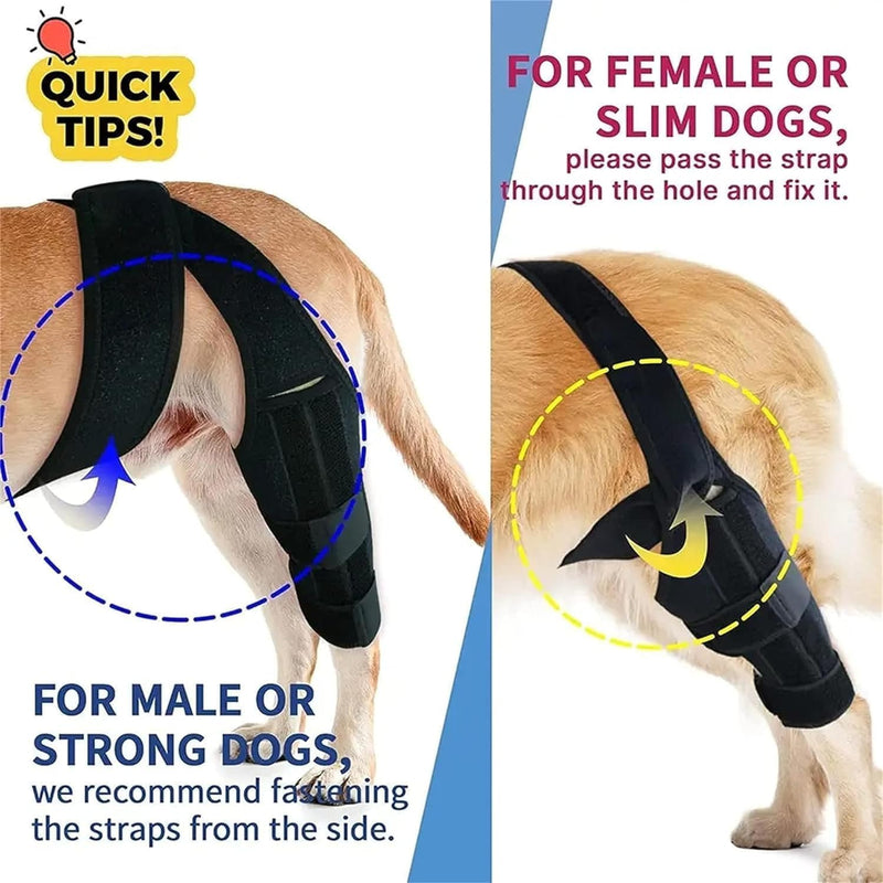 MASBRILL Dog Knee Brace, Adjustable Dog Brace Protector Pads for Back Leg,ACL Hind Leg Brace for Dog Cruciate Ligament Care Knee Brace for Dogs Rear Leg, Joint Pain and Muscle Sore S - PawsPlanet Australia