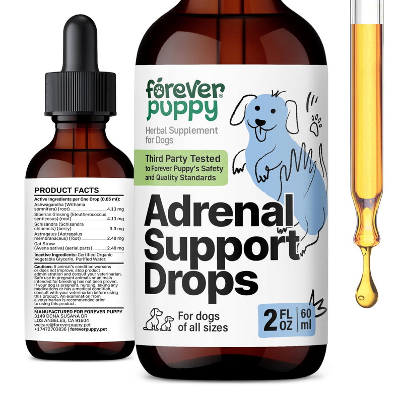 Adrenal Support for Dogs - Calming Drops for Dogs w/Liquid Ashwagandha & Schisandra Berry - Adrenal Drops for All Breeds & Sizes - Liquid Dog Vitamins and Supplements for Adrenal Health - 2 oz - PawsPlanet Australia